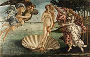 Sandro Botticelli The Birth of Venus (mk08) oil